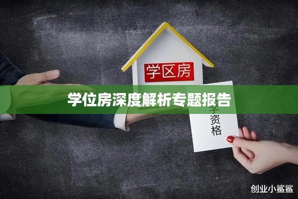 学位房深度解析专题报告