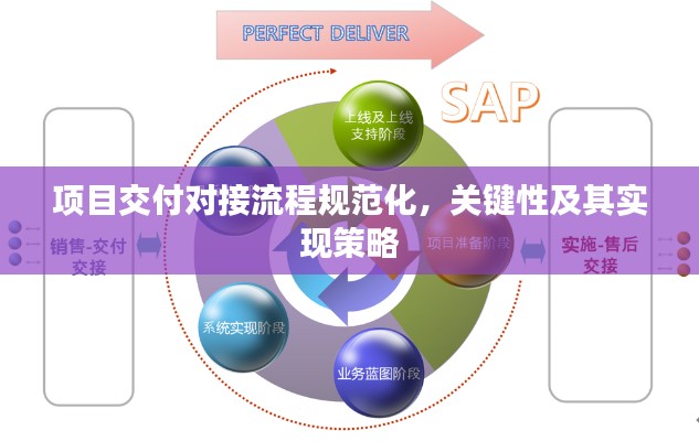 项目交付对接流程规范化,关键性及其实现策略