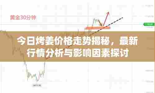 今日烤姜价格走势揭秘，最新行情分析与影响因素探讨