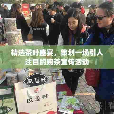 精选茶叶盛宴,策划一场引人注目的购茶宣传活动