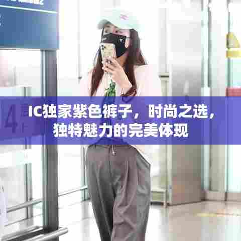 IC独家紫色裤子,时尚之选,独特魅力的完美体现