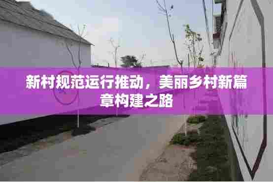 新村规范运行推动，美丽乡村新篇章构建之路