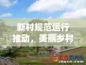 新村规范运行推动,美丽乡村新篇章构建之路