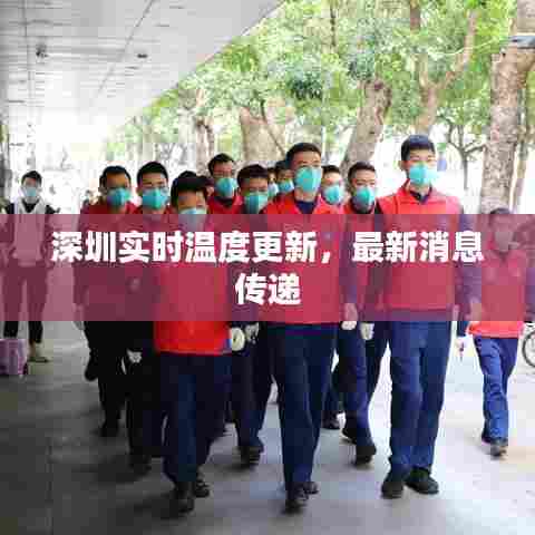 深圳实时温度更新，最新消息传递