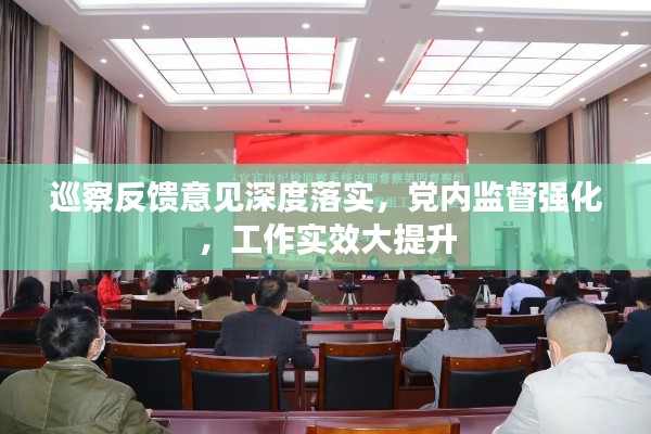 巡察反馈意见深度落实，党内监督强化，工作实效大提升