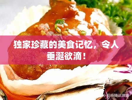 独家珍藏的美食记忆,令人垂涎欲滴!
