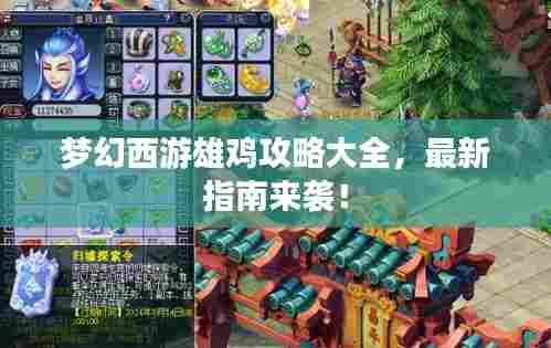 梦幻西游雄鸡攻略大全,最新指南来袭!