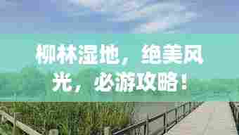 柳林湿地,绝美风光,必游攻略!