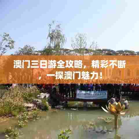 澳门三日游全攻略,精彩不断,一探澳门魅力!