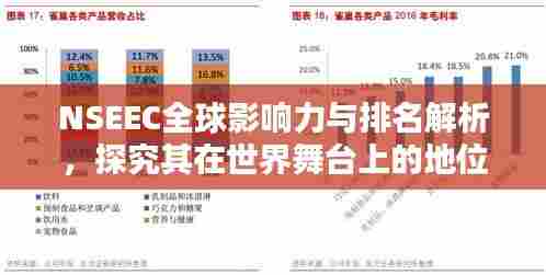 NSEEC全球影响力与排名解析，探究其在世界舞台上的地位与影响力