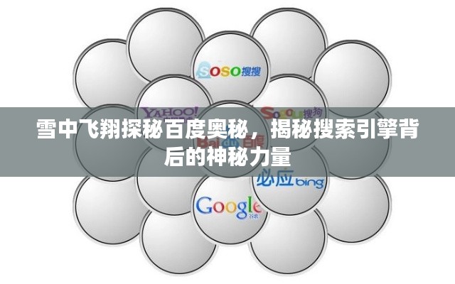 雪中飞翔探秘百度奥秘，揭秘搜索引擎背后的神秘力量