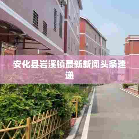 安化县岩溪镇最新新闻头条速递