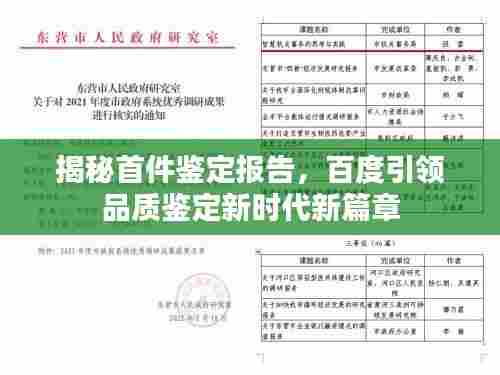 揭秘首件鉴定报告，百度引领品质鉴定新时代新篇章