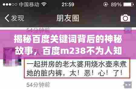 揭秘百度关键词背后的神秘故事,百度m238不为人知的秘密