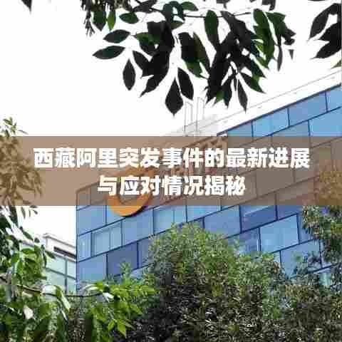 西藏阿里突发事件的最新进展与应对情况揭秘