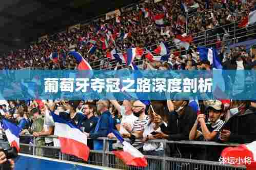 葡萄牙夺冠之路深度剖析
