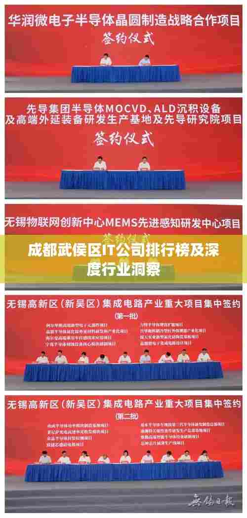 成都武侯区IT公司排行榜及深度行业洞察