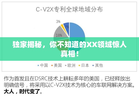 独家揭秘，你不知道的XX领域惊人真相！