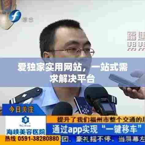 爱独家实用网站,一站式需求解决平台