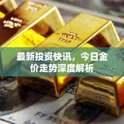 最新投资快讯,今日金价走势深度解析