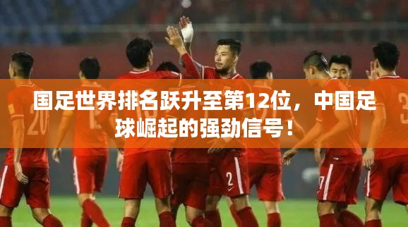 国足世界排名跃升至第12位,中国足球崛起的强劲信号!