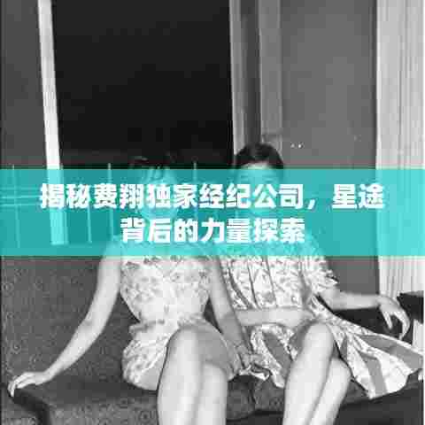 揭秘费翔独家经纪公司,星途背后的力量探索