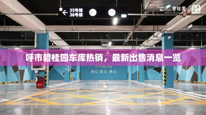 呼市碧桂园车库热销,最新出售消息一览