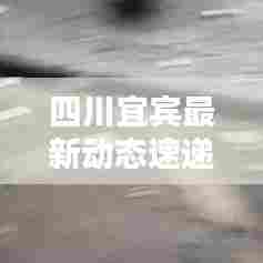 四川宜宾最新动态速递