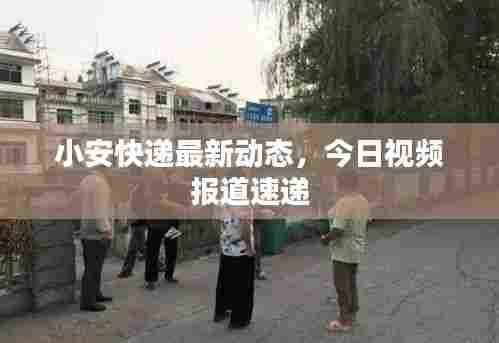 小安快递最新动态，今日视频报道速递