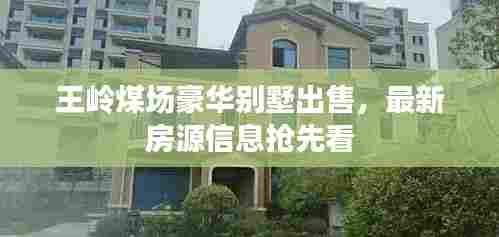 王岭煤场豪华别墅出售，最新房源信息抢先看