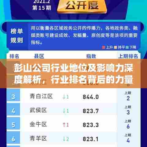 彭山公司行业地位及影响力深度解析，行业排名背后的力量！