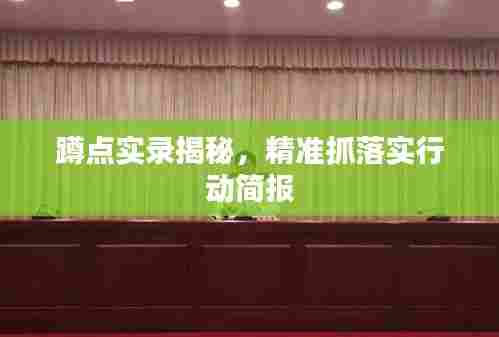 蹲点实录揭秘,精准抓落实行动简报