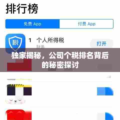 独家揭秘，公司个税排名背后的秘密探讨