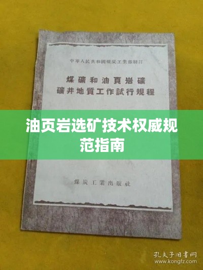 油页岩选矿技术权威规范指南