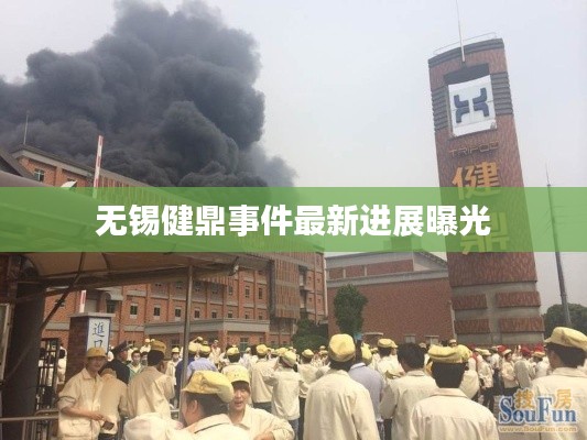 无锡健鼎事件最新进展曝光
