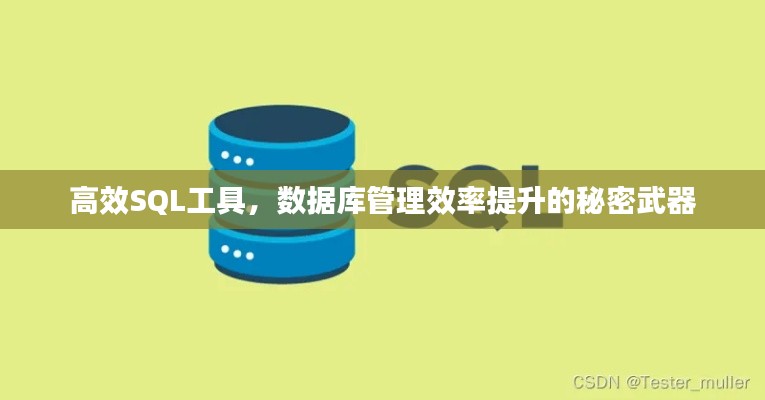 高效SQL工具，数据库管理效率提升的秘密武器