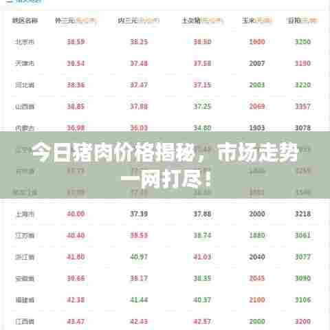 今日猪肉价格揭秘,市场走势一网打尽!