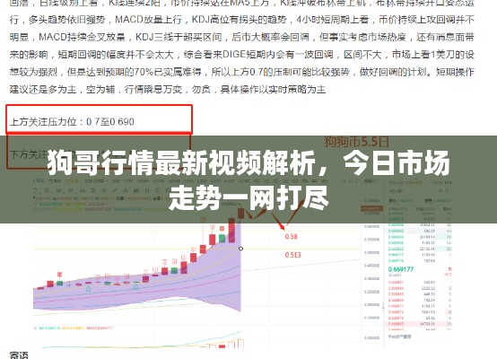 狗哥行情最新视频解析，今日市场走势一网打尽