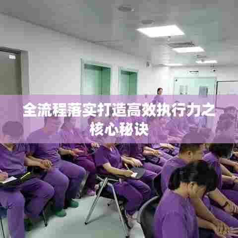 全流程落实打造高效执行力之核心秘诀