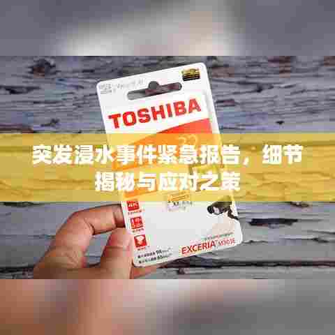 突发浸水事件紧急报告,细节揭秘与应对之策
