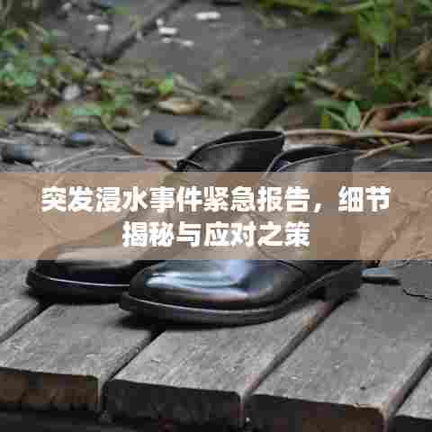 突发浸水事件紧急报告,细节揭秘与应对之策