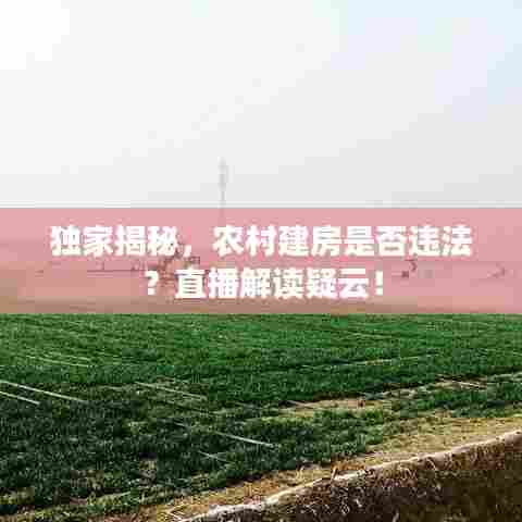 独家揭秘,农村建房是否违法?直播解读疑云!