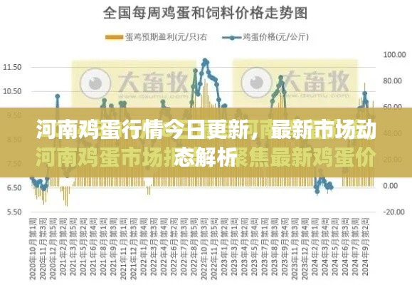 河南鸡蛋行情今日更新,最新市场动态解析