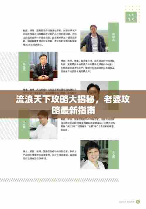 流浪天下攻略大揭秘,老婆攻略最新指南