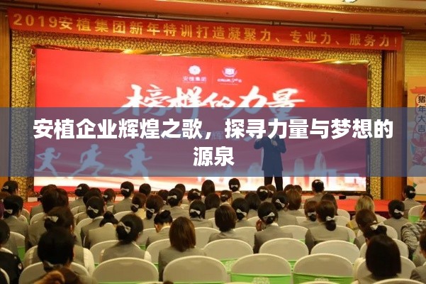 安植企业辉煌之歌,探寻力量与梦想的源泉