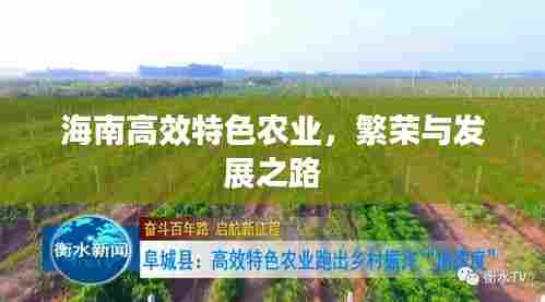 海南高效特色农业,繁荣与发展之路