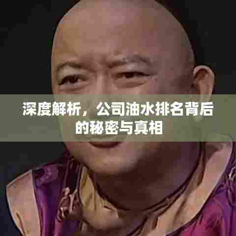 深度解析，公司油水排名背后的秘密与真相