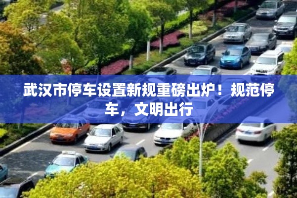 武汉市停车设置新规重磅出炉！规范停车，文明出行