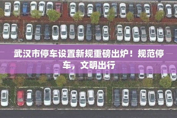 武汉市停车设置新规重磅出炉!规范停车,文明出行