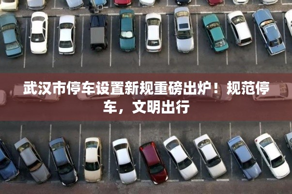 武汉市停车设置新规重磅出炉!规范停车,文明出行